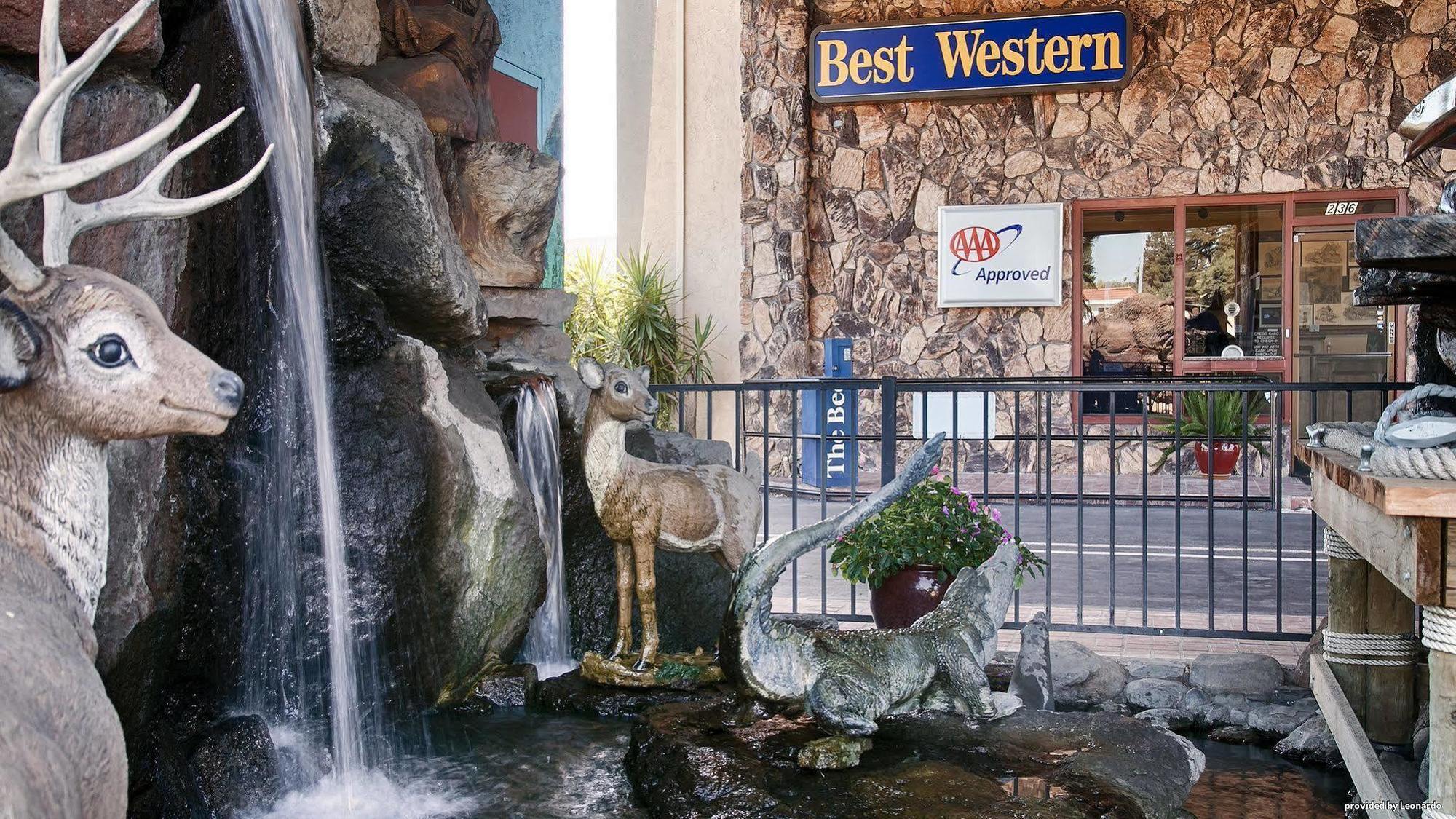 Western Sandman Sacramento